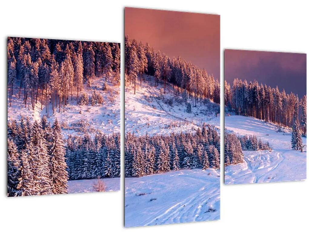 Obraz zimnej krajiny (90x60 cm)