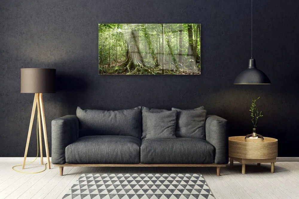 Skleneny obraz Les príroda džungle 140x70 cm