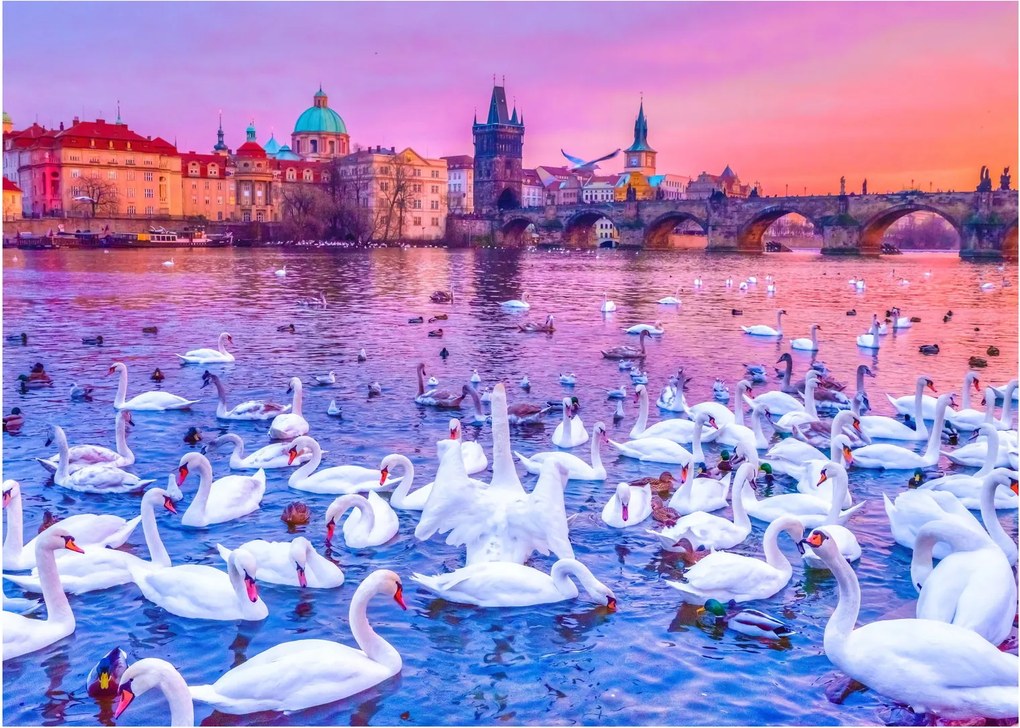 Obraz - Praha (70x50 cm)