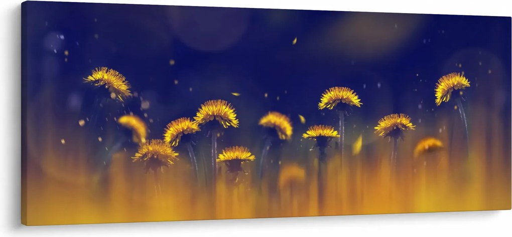 Obraz - Púpavy (120x50 cm)