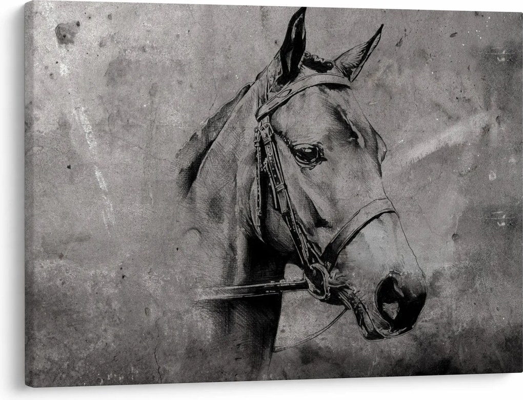 Obraz - Portrét koňa (70x50 cm)
