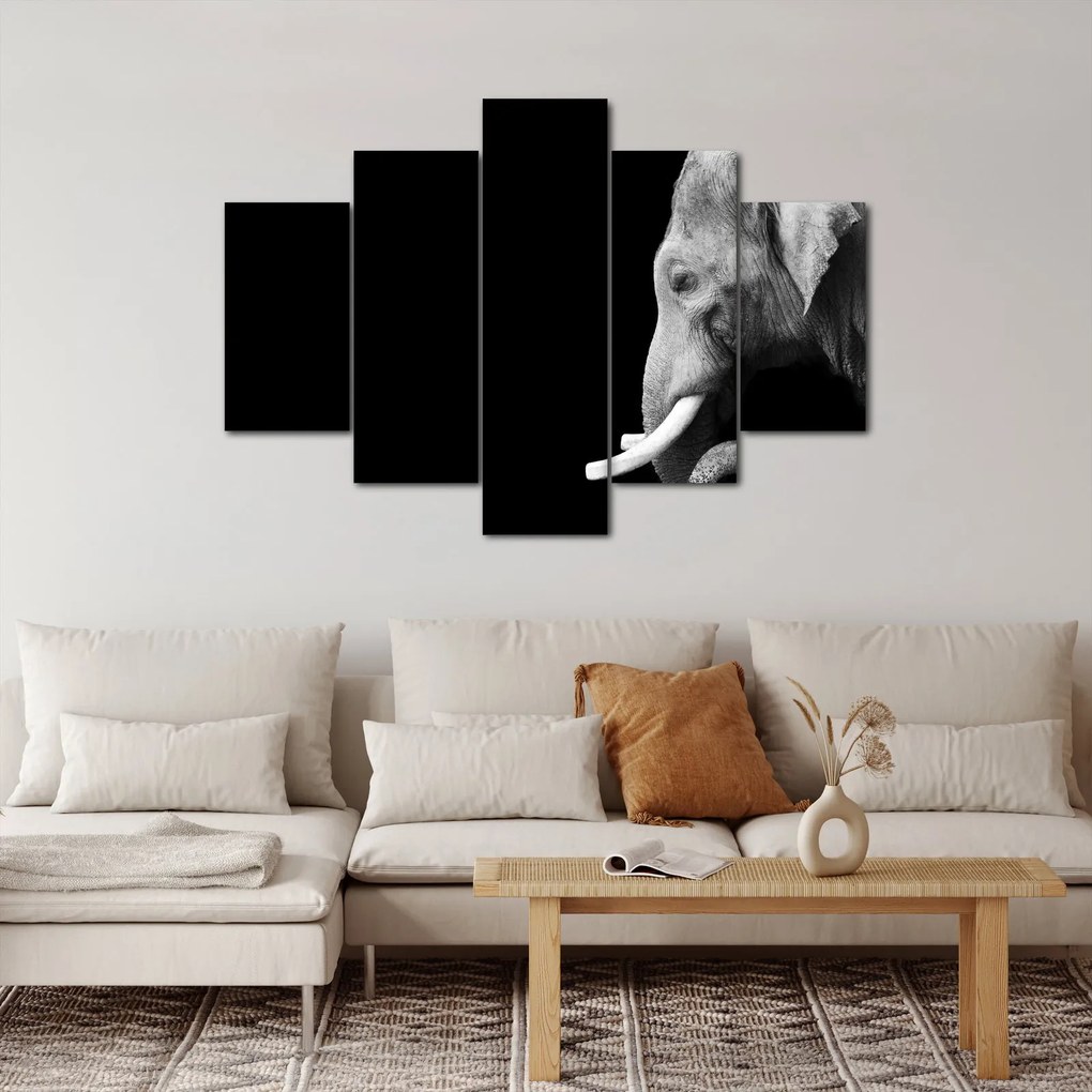 Obraz - Slon (150x105 cm)