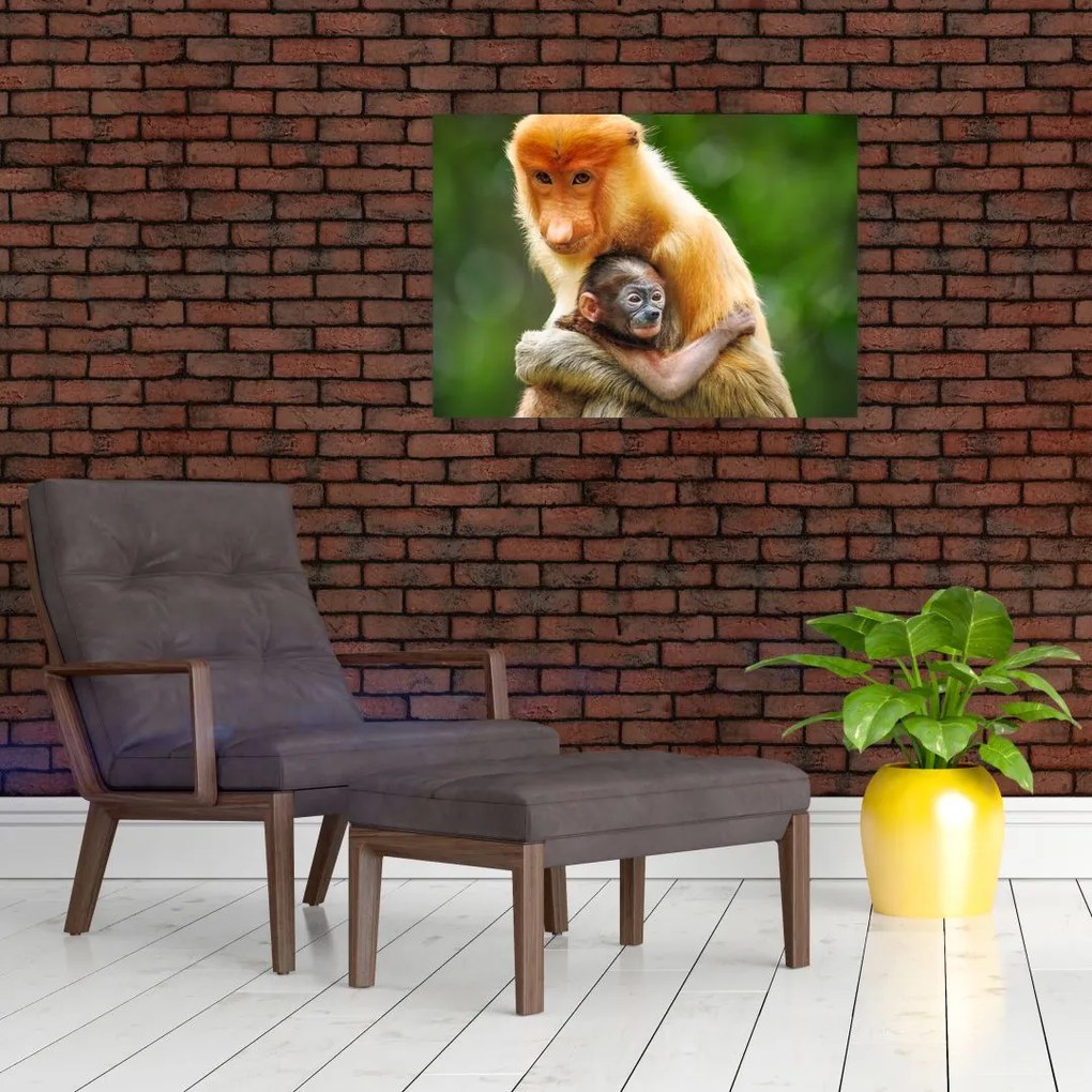 Sklenený obraz opíc (70x50 cm)