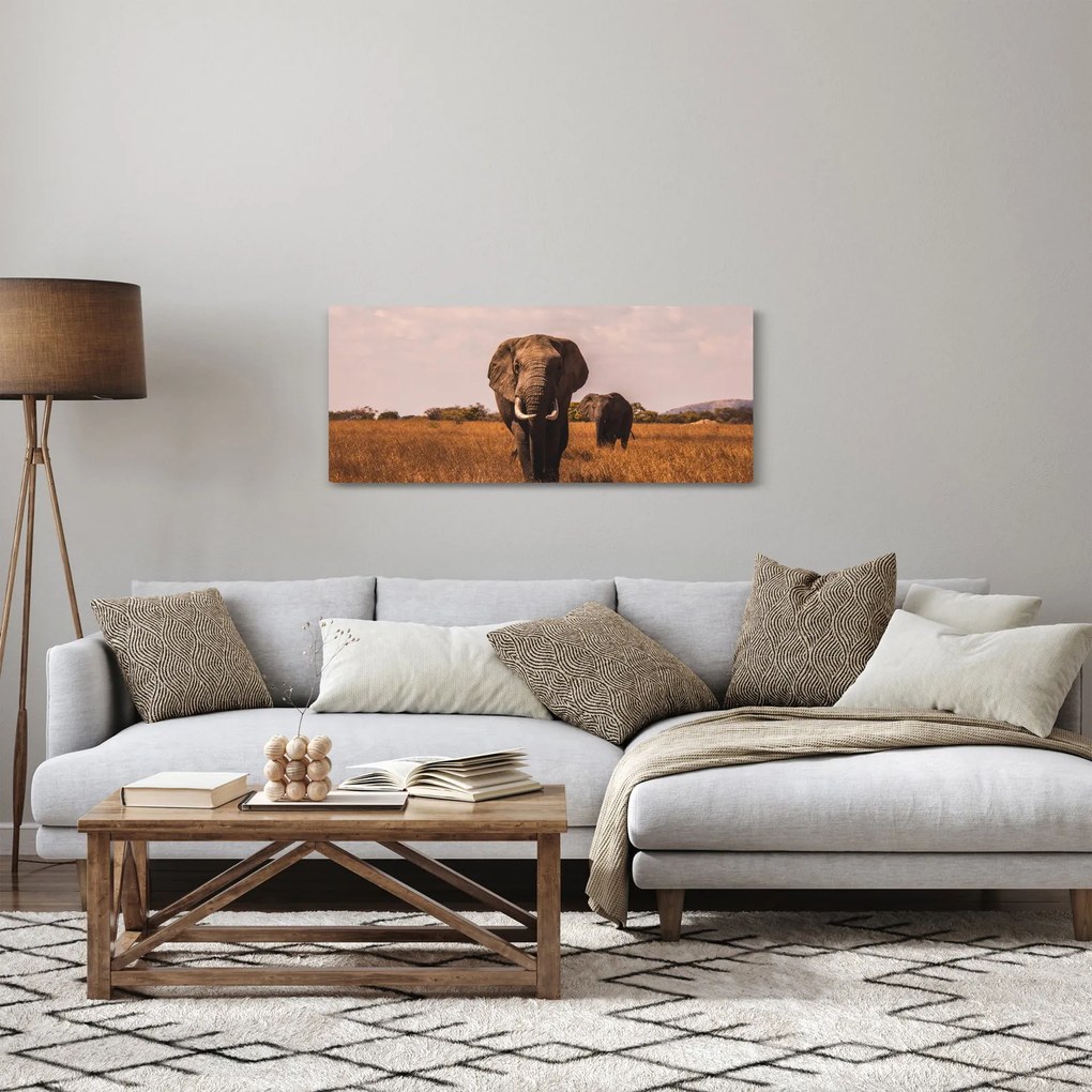 Obraz - Príchod slona (120x50 cm)