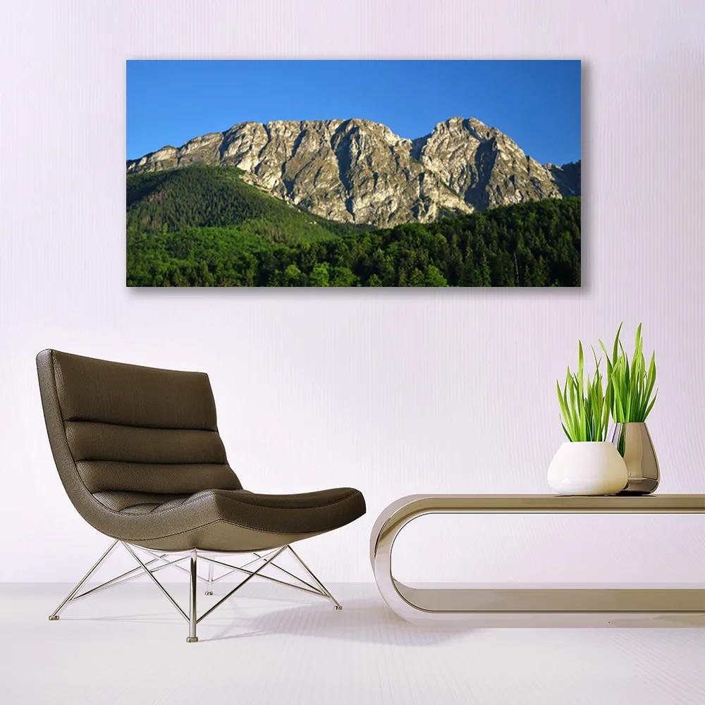 Obraz na akrylátovom skle Hora les príroda 120x60 cm