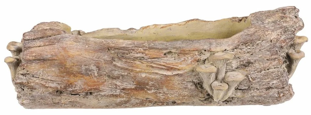 Betonový obal - truhlík, drevo s hubami, 49 x 21 x15 cm