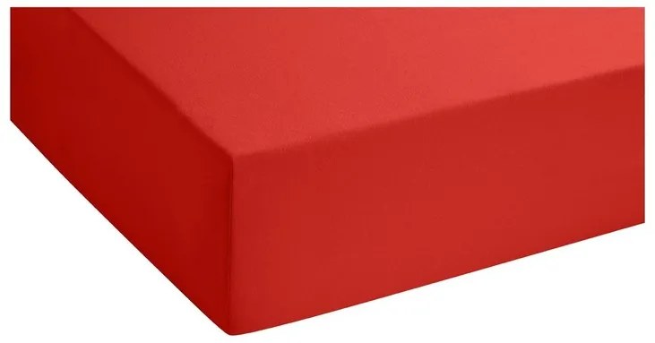 Biberna Napínacia džersejová plachta (červená, 180 – 200 x 200 cm)  (100227068)