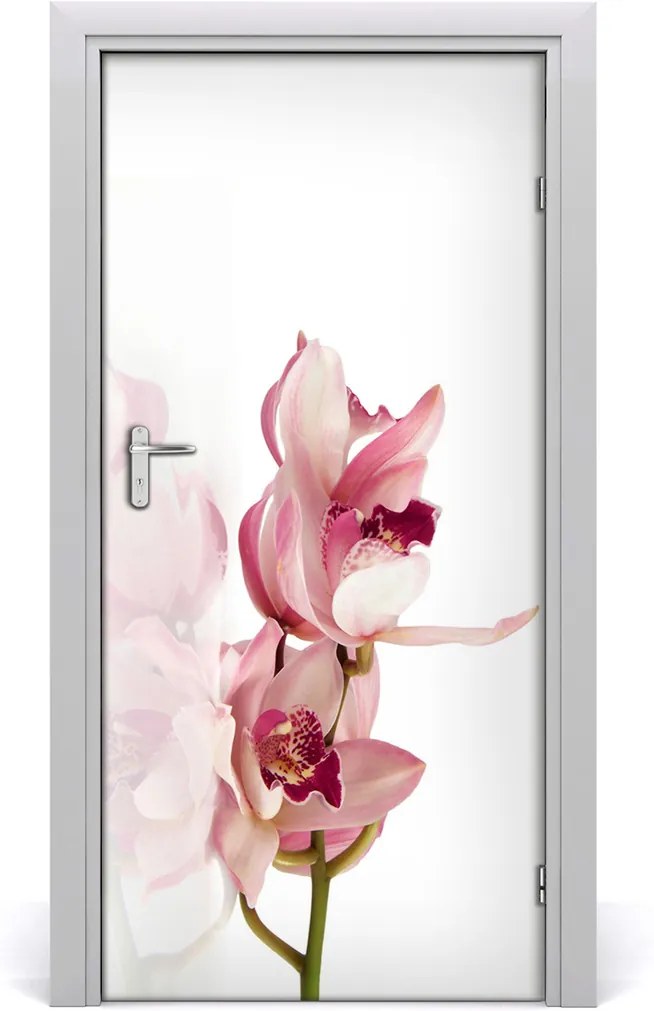 Fototapeta na dvere  ružová orchidea
