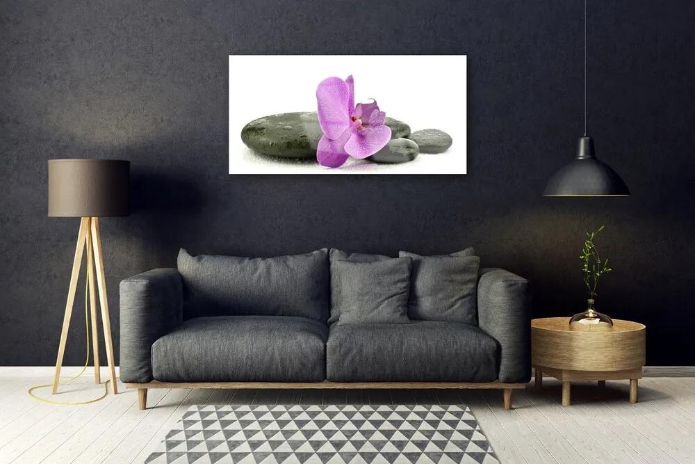 Skleneny obraz Kvet kamene umenie 100x50 cm