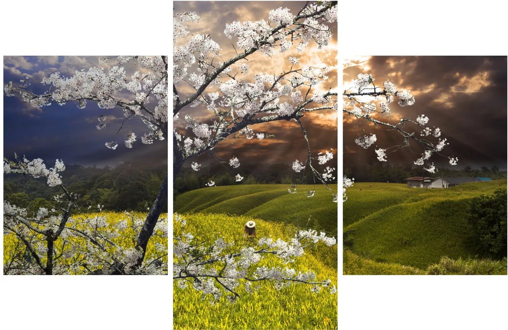 Obraz - Rozkvitnutý strom v krajine (90x60 cm)