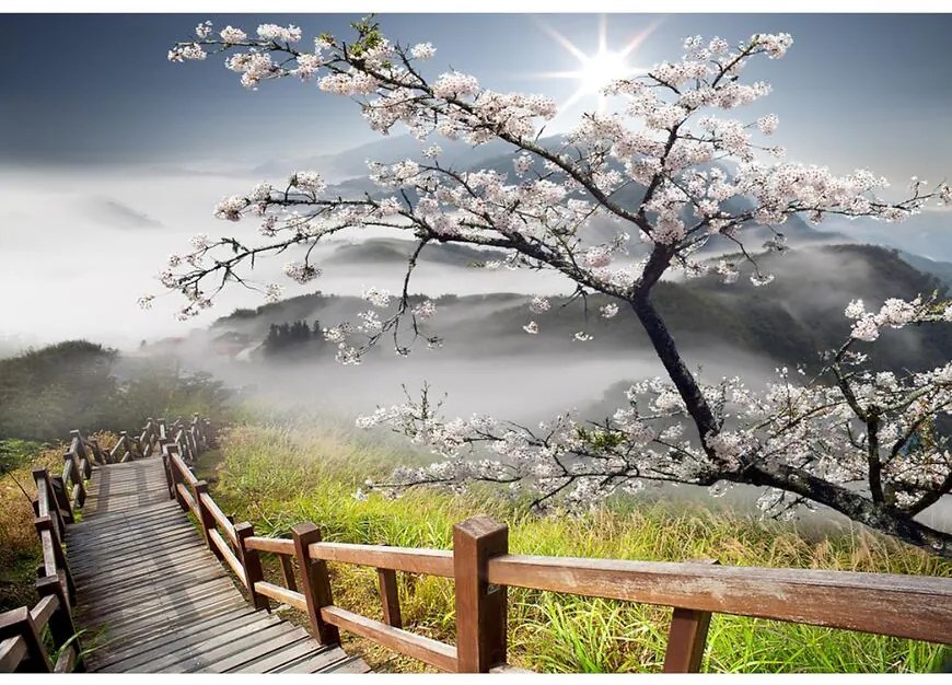 Obraz decopanel 60x90 dp012 sakura