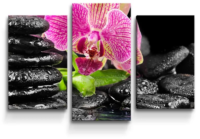 Sablio Obraz - 3-dílný Orchidea na kameňoch - 75x50 cm