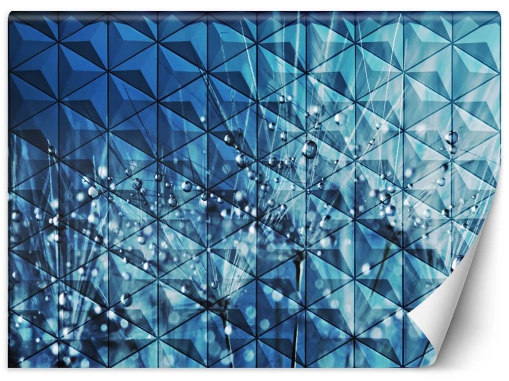 Gario Fototapeta Kvapky rosy na púpavách Materiál: Vliesová, Rozmery: 350 x 245 cm
