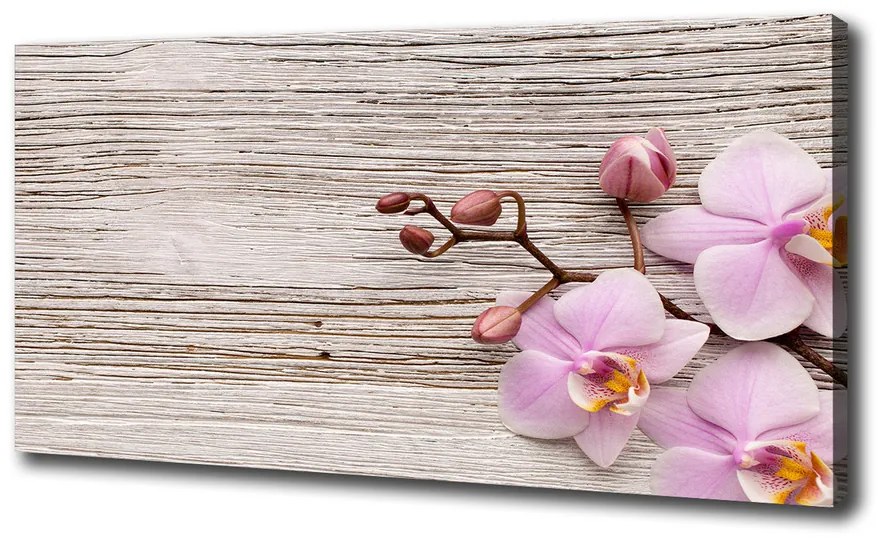 Moderný fotoobraz canvas na ráme Orchidea na strome pl-oc-100x50-f-62495656