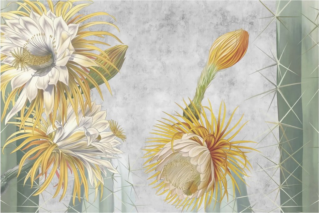 Obraz - Rozkvitnuté kaktusy (90x60 cm)