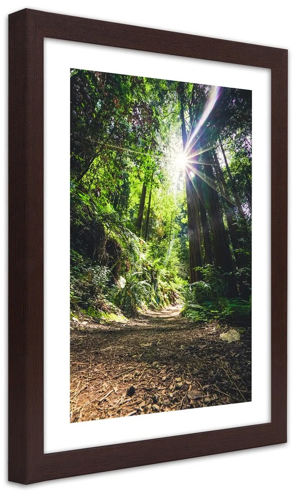 Gario Plagát Cesta v hustom lese Farba rámu: Bez rámu, Rozmery: 30 x 45 cm