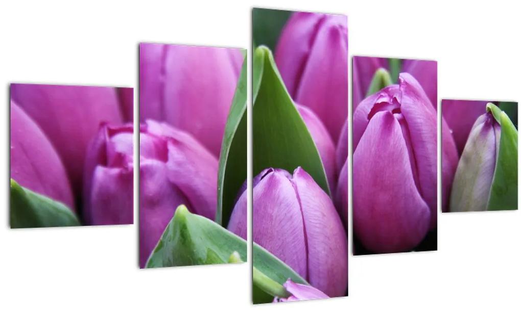 Obraz - kvety tulipánov (125x70 cm), 40 ďalších rozmerov
