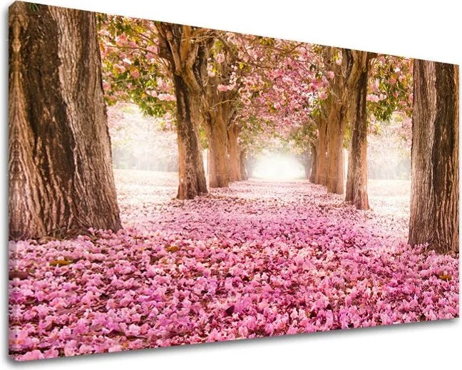 Obraz na stenu STROMY