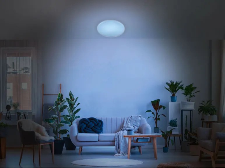 Livarno home Stropné LED svietidlo (hviezdna obloha) (100353852)