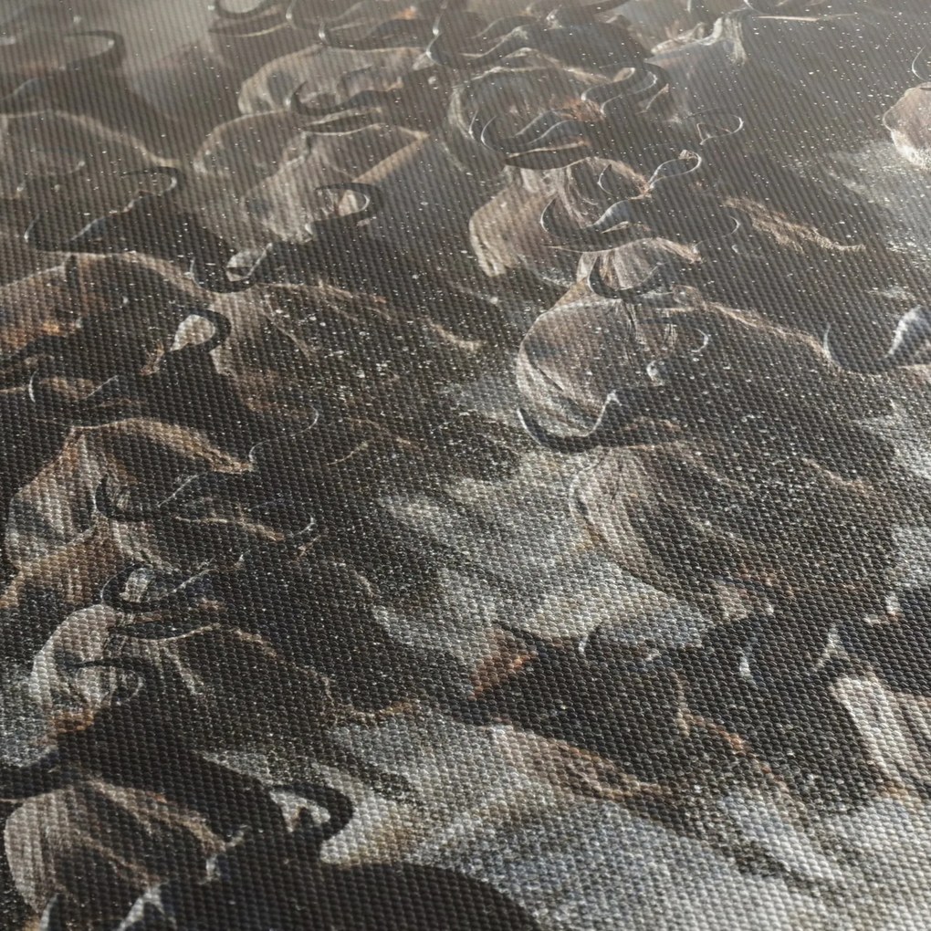 Obraz - Stádo pakoňov (90x60 cm)