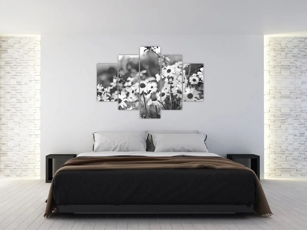 Obraz - Kopretiny (150x105 cm)