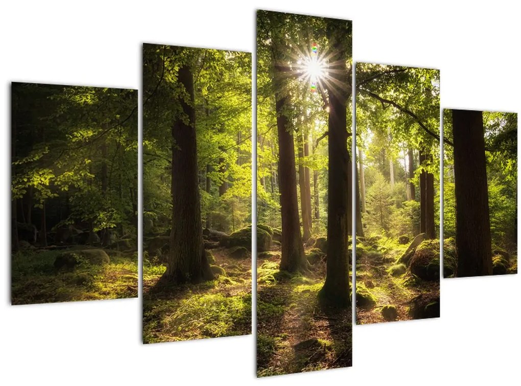 Obraz snového lesa (150x105 cm)