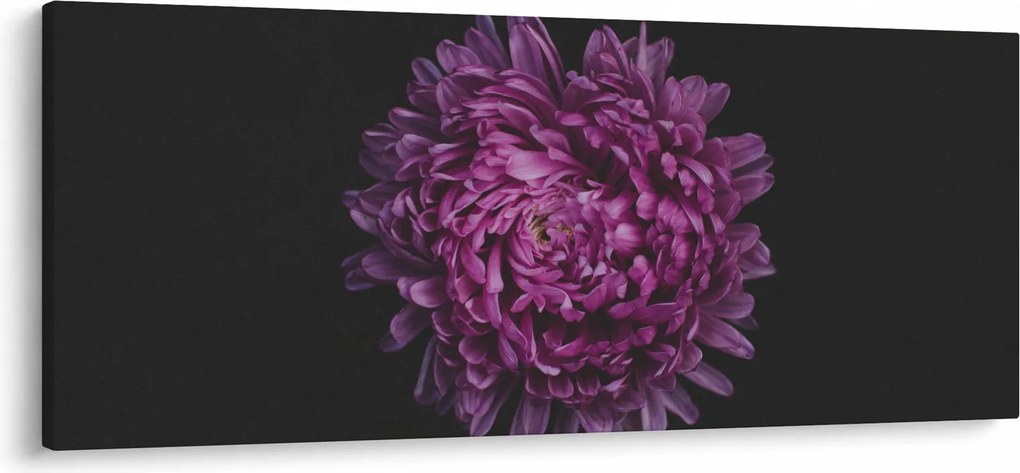 Obraz fialovej kvetiny (120x50 cm)