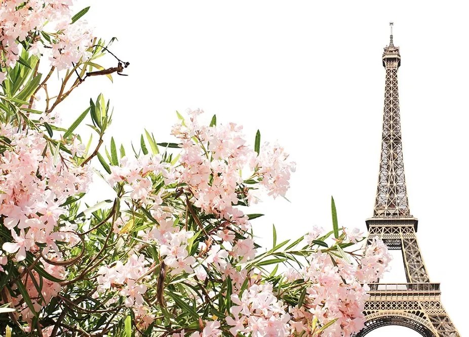 Samolepiaca fototapeta Eiffelova veža a ružové kvety - 225x150