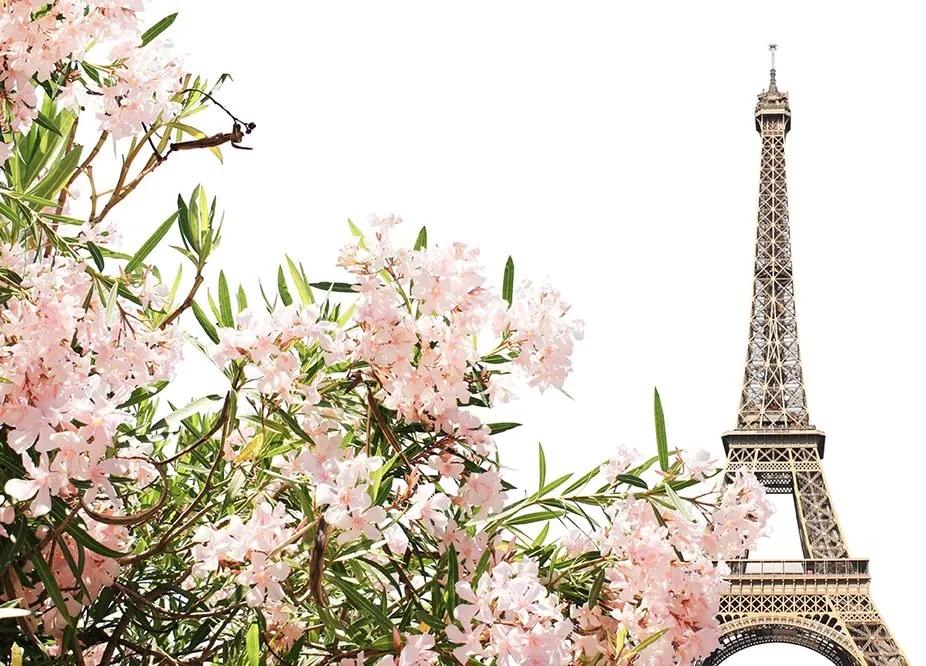 Samolepiaca fototapeta Eiffelova veža a ružové kvety - 300x200