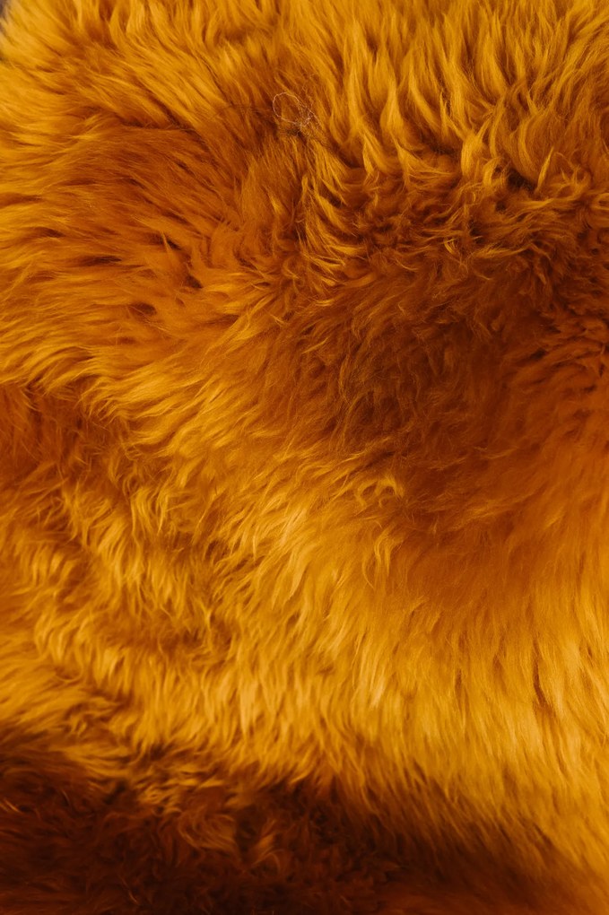 Ovčia kožušina oranžová