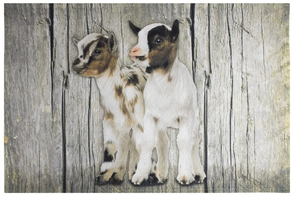 Šedá podlahová rohožka kozliatka - 75 * 50 * 1cm