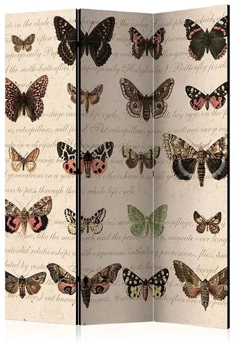 Paraván - Retro Style: Butterflies [Room Dividers] Veľkosť: 135x172, Verzia: Jednostranný