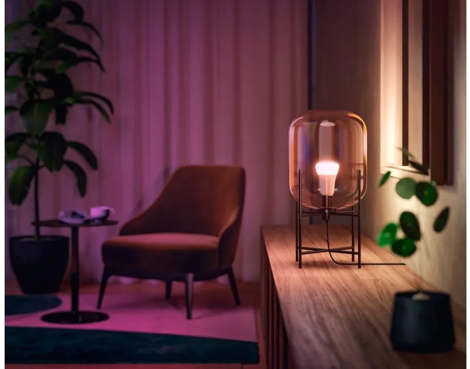 PHILIPS HUE Múdra LED stmievateľná žiarovka HUE s funkciou RGB, E27, A60, 6,5 W, 800lm, teplá biela-studená biel