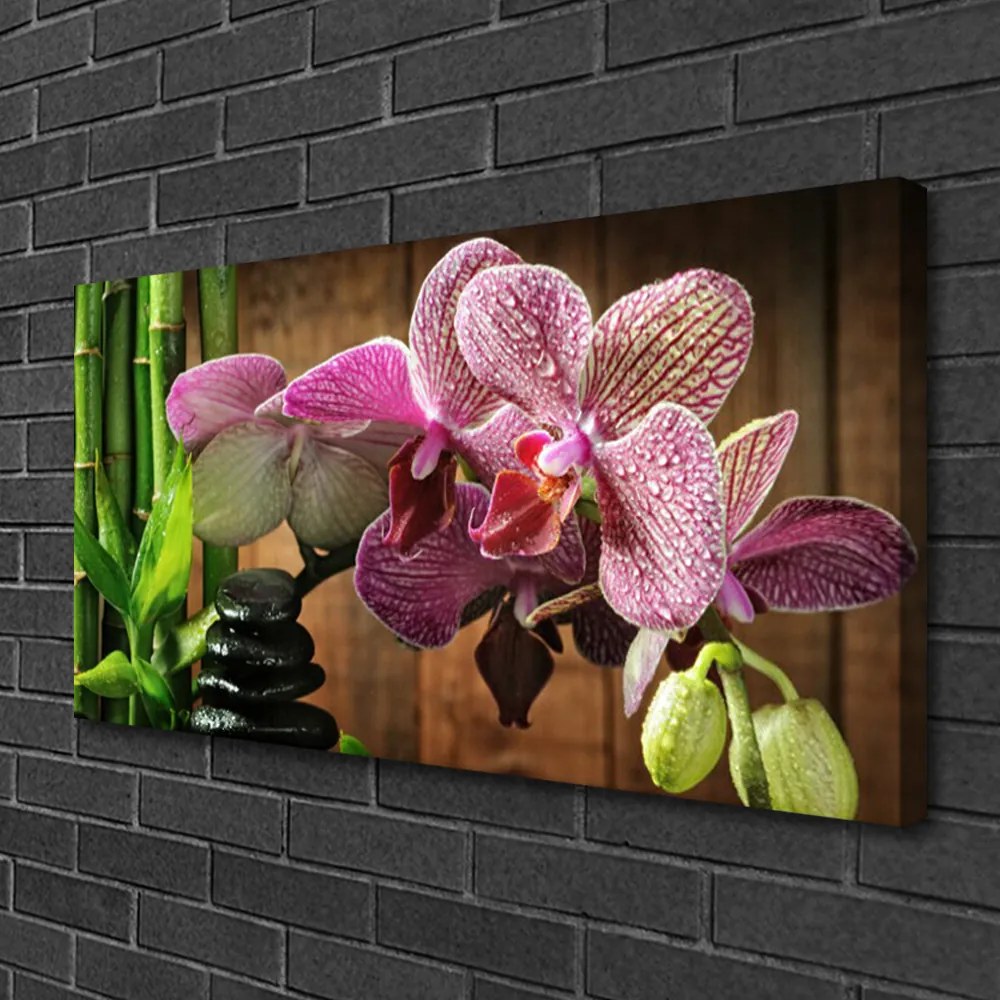 Obraz na plátne Kvetiny bambus rastlina 100x50 cm