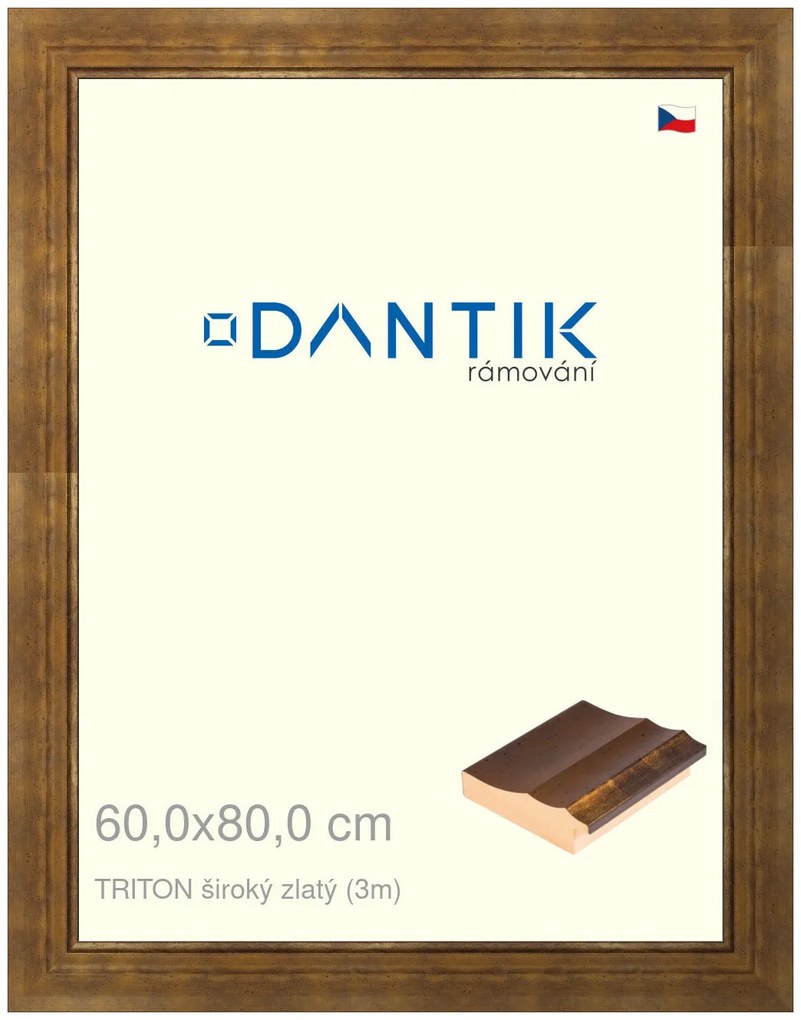 DANTIK rám na obraz 60x80 | TRITON široký zlatý (Plexi Čiré)