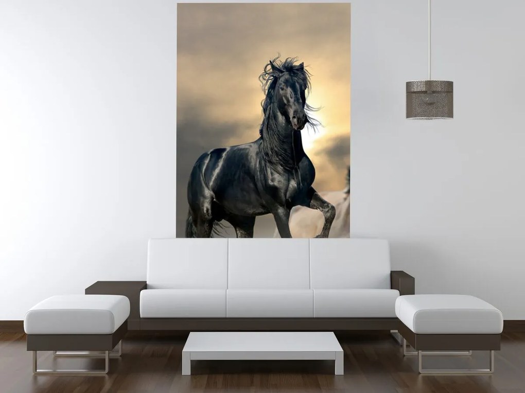 Gario Fototapeta Nádherný čierny kôň Materiál: Samolepiaca, Rozmery: 200 x 135 cm