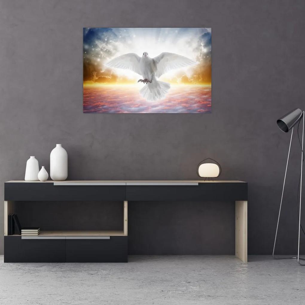 Obraz holubice (90x60 cm)