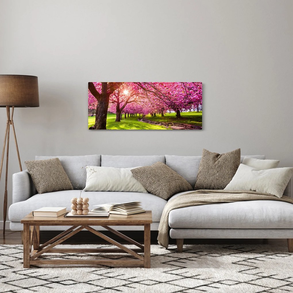 Obraz rozkvitnutých čerešní, Hurd Park, Dover, New Jersey (120x50 cm)
