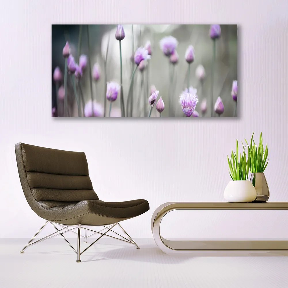 Obraz plexi Poľné kvety lúka príroda 120x60 cm