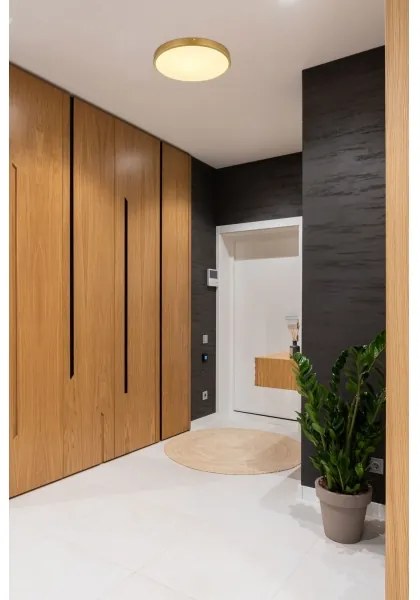 Globo 12381-22 - LED Stropné svietidlo TIBEY LED/22W/230V pr. 35 cm