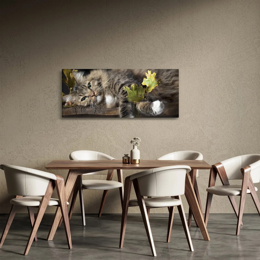 Obraz - Ležiaca mačka (120x50 cm)