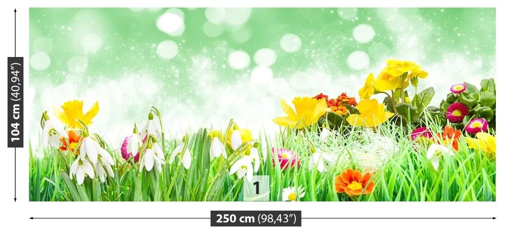 Fototapeta Vliesová Veľkonočné kvety 152x104 cm