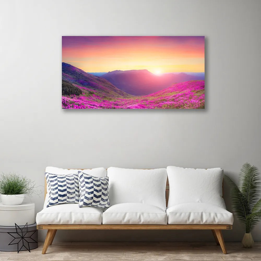 Obraz Canvas Slnko hory lúka príroda 140x70 cm