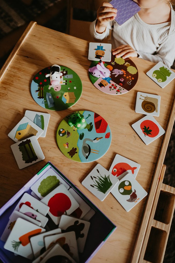 Kde a ako žijú zvieratká?