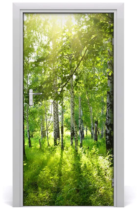 Fototapeta na dvere Břízová les 85x205 cm