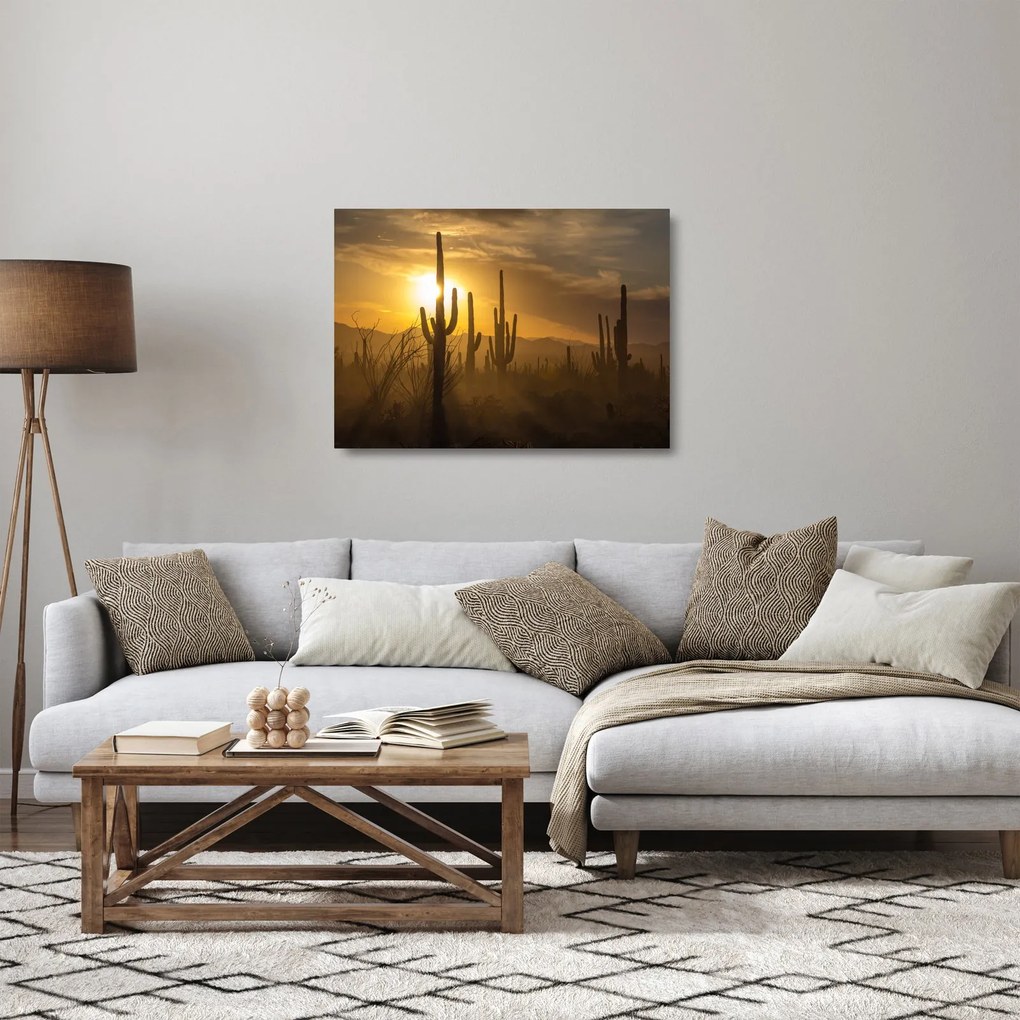 Sklenený obraz - Kaktusy Saguaro (70x50 cm)