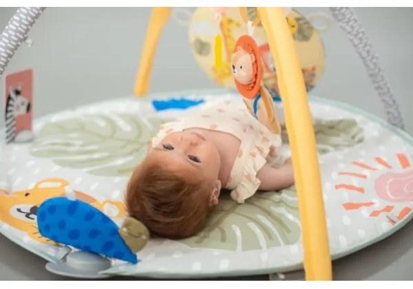 Taf Toys - Detská hracia podložka s hrazdou savana 2xAAA