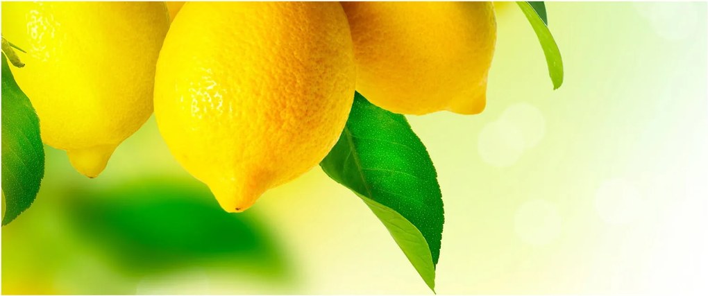 Obraz citrónov (120x50 cm)