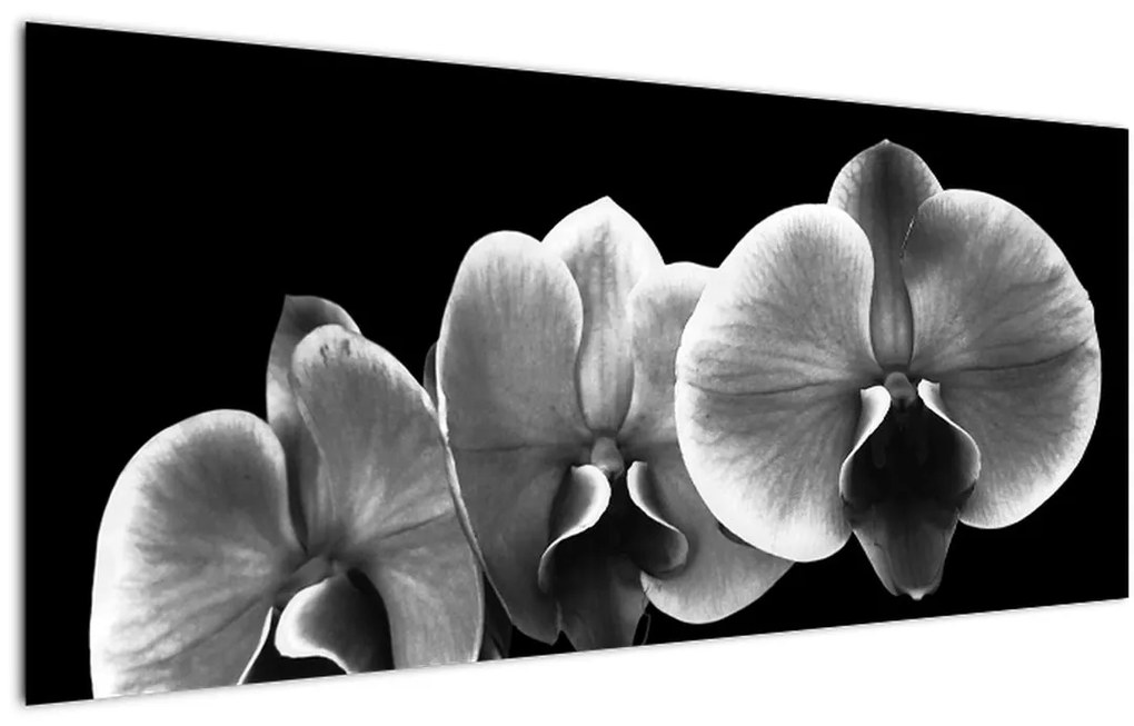 Obraz kvetu orchidey (120x50 cm)