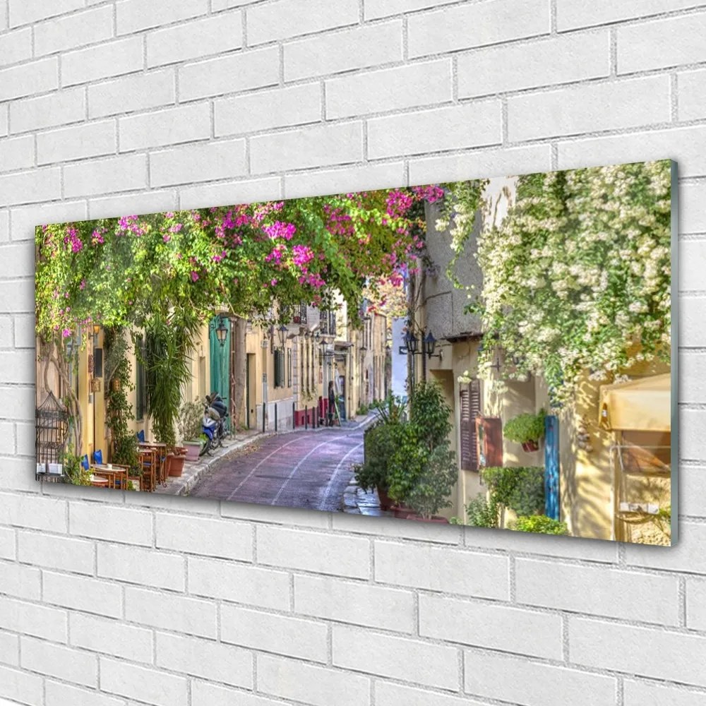 Obraz plexi Aleje kvety domy rastlina 125x50 cm